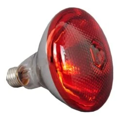 Commercial Suspension Food Warmer 4 Heating Lamps | Adexa WLB1100 -Kitchen Supplies WL bulb 1200x1200 4